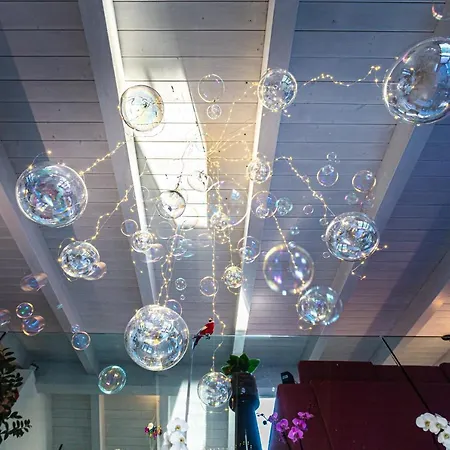 Live Your Dream San Costanzo