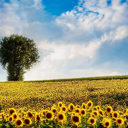 Live Your Dream Appartement *