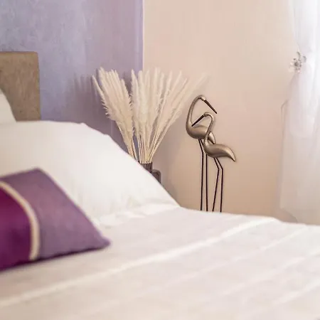 Live Your Dream * San Costanzo